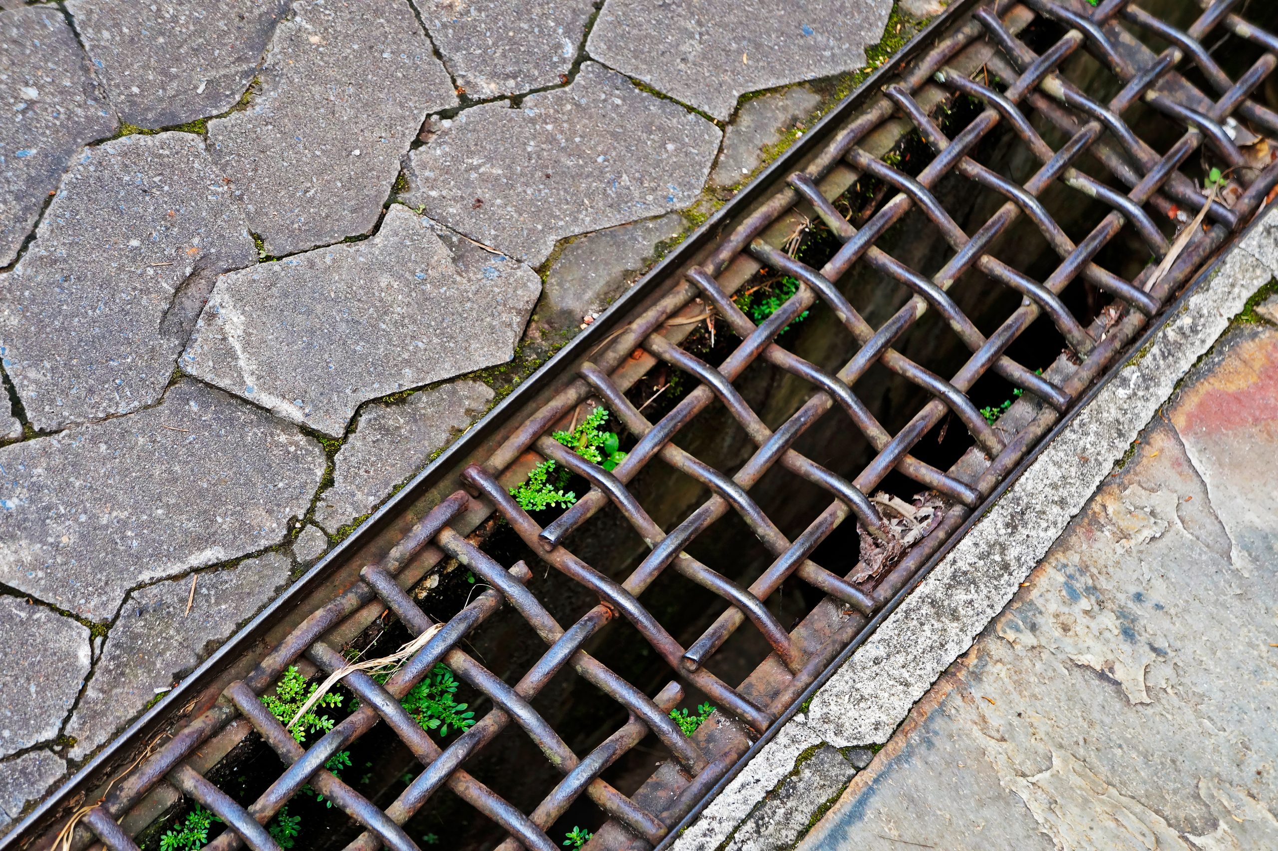 Downspout Drain